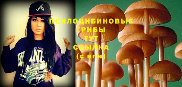 молекула духа Верхний Тагил
