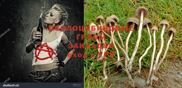 молекула духа Верхний Тагил